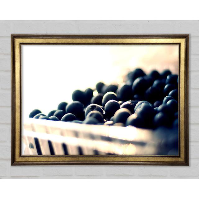 Wild Berries - Single Picture Frame Art Prints Ebern Designs Size: 42cm H x 59.7cm W x 1.5cm D on Productcaster.