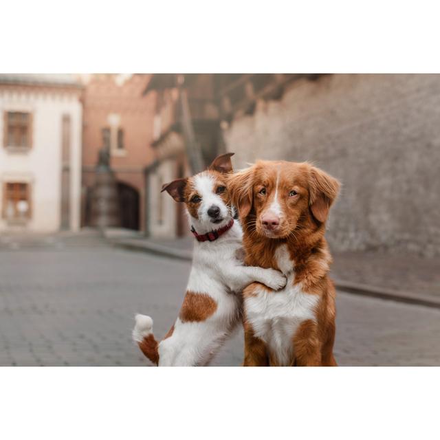 Two Dogs in the City - Wrapped Canvas Photograph Ebern Designs Size: 81cm H x 122cm W on Productcaster.