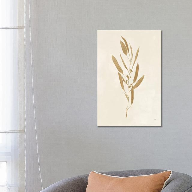 Botanical Study I Gold by Julia Purinton - Wrapped Canvas Gallery-Wrapped Canvas Giclée ClassicLiving Size: 66.04cm H x 45.72cm W on Productcaster.