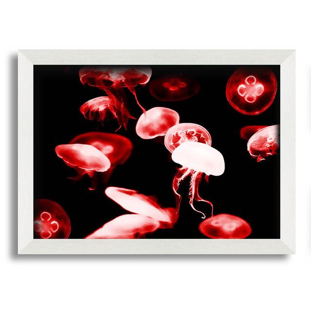 Red Neon Jellyfish Framed Print Highland Dunes Size: 59.7cm H x 84.1cm W x 10cm D, Format: White Framed Paper on Productcaster.