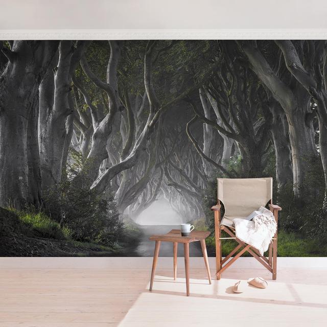 Forest Semi-Gloss Wallpaper Roll East Urban Home Size: 4.32m x 290cm, Material quality: Premium (150g/m²) on Productcaster.