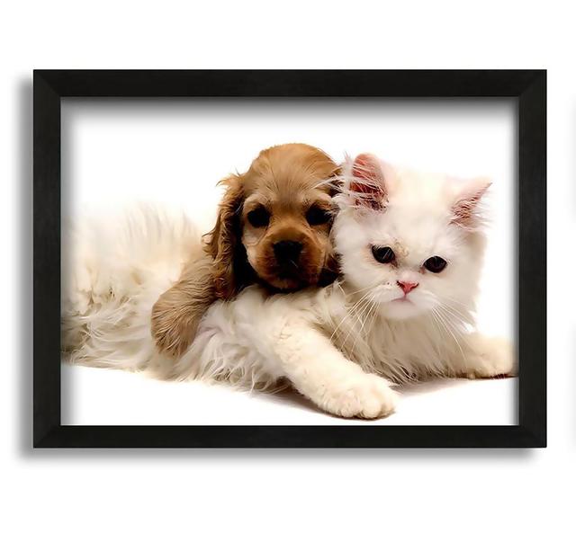 Puppy and Kitten Love - Picture Frame Photograph on Canvas Latitude Run Size: 42cm H x 60cm W x 10cm D on Productcaster.