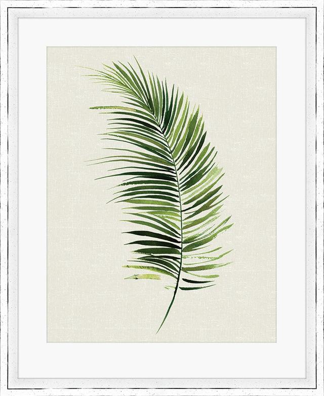 Tropical Leaf II' by Summer Thornton Framed Print East Urban Home on Productcaster.