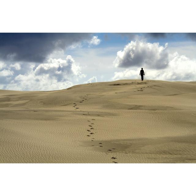 Walking in the Desert by Traveler_No1 - Wrapped Canvas Photograph Natur Pur Size: 20cm H x 30cm W on Productcaster.