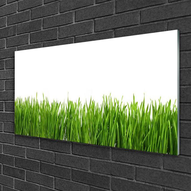 Glasbild Grass Nature Brayden Studio on Productcaster.