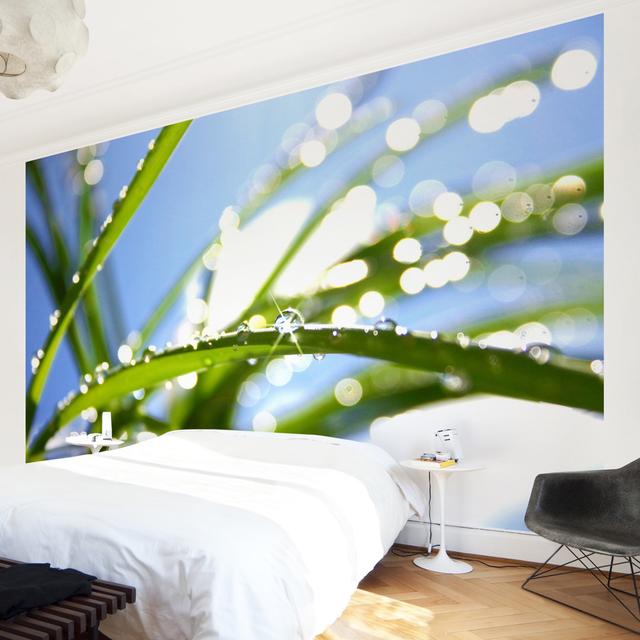 Tapete Kuss der Sonne 1.9m L x 288cm B Lewter Brayden Studio on Productcaster.