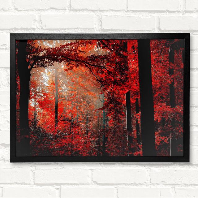 Forest Delight - Closed Corner Frame Art Prints on Wood Alpen Home Size: 59.7cm H x 84.1cm W on Productcaster.