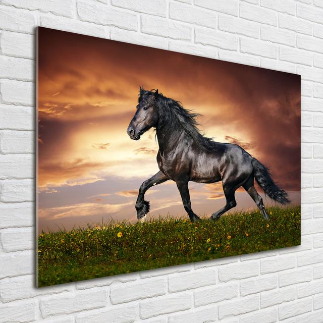 Glasbild Galloping Horse Ebern Designs on Productcaster.