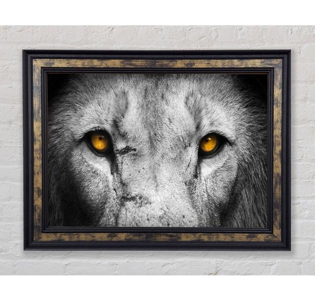 Lion Eyes - Single Picture Frame Art Prints Ebern Designs Size: 59.7cm H x 84.1cm W x 8cm D on Productcaster.