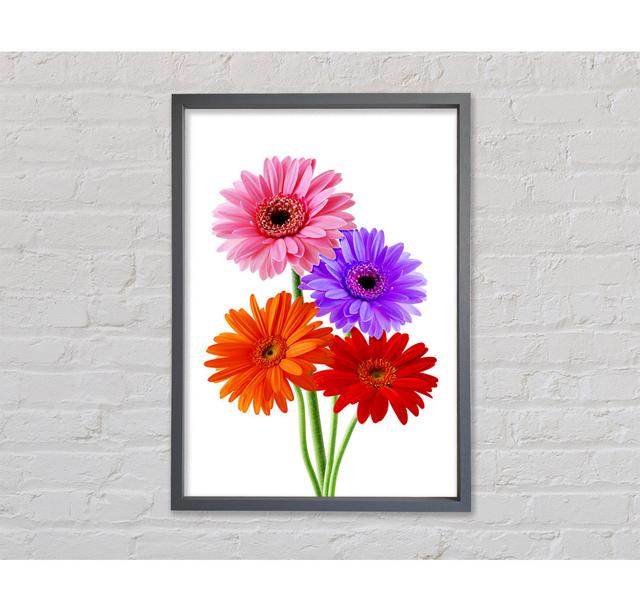 Gerbera Colours Framed Print Bright Star Size: 141.4cm H x 100cm W x 3.3cm D on Productcaster.