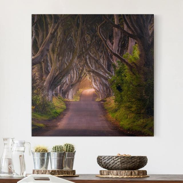 Tunnel Made of Trees - Wrapped Canvas Graphic Art Union Rustic Format: 260g/m² canvas, Size: 40cm H x 40cm W on Productcaster.