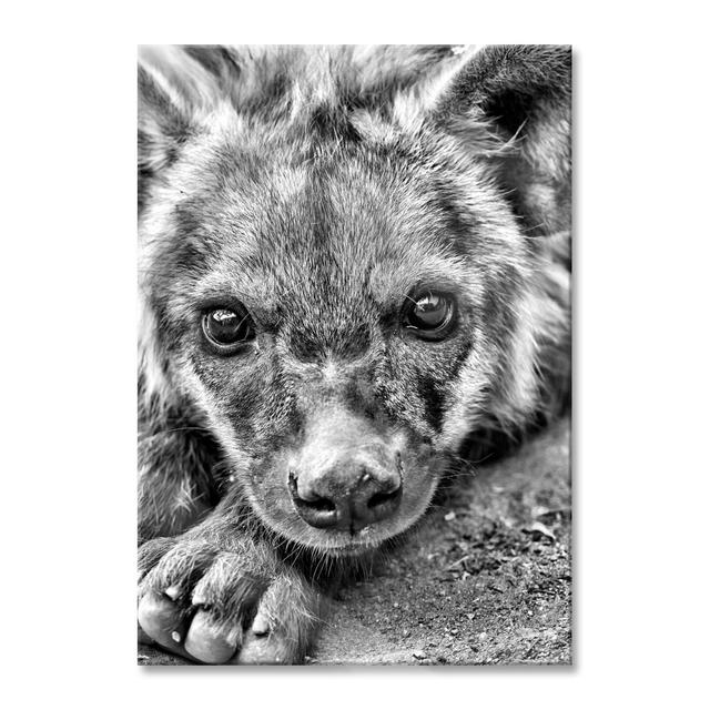 Cute Hyena - No Frame Print on Glass Brayden Studio Size: 80cm H x 60cm W x 0.4cm D on Productcaster.