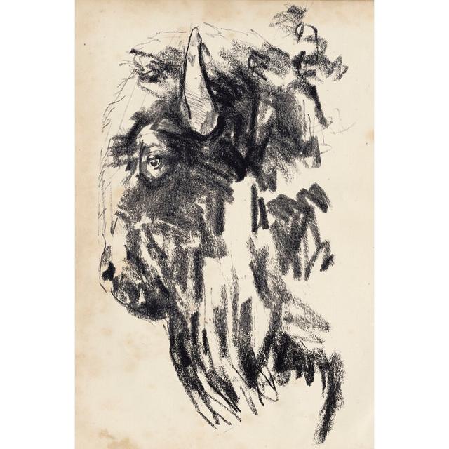 Bison Head Gesture II by Jennifer Paxton Parker 1 - Wrapped Canvas Drawing Print August Grove Size: 76cm H x 51cm W on Productcaster.