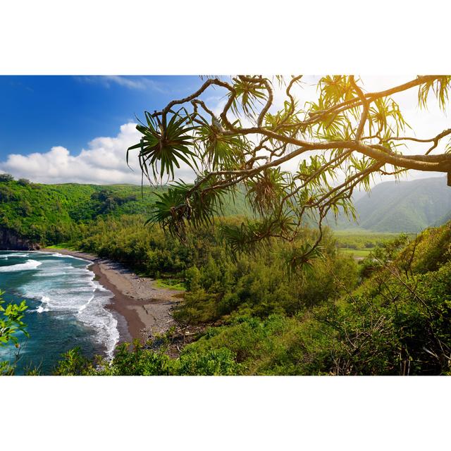 Rocky Beach Of Pololu Valley by MN Studio - Wrapped Canvas Print Alpen Home Size: 81cm H x 122cm W x 3.8cm D on Productcaster.