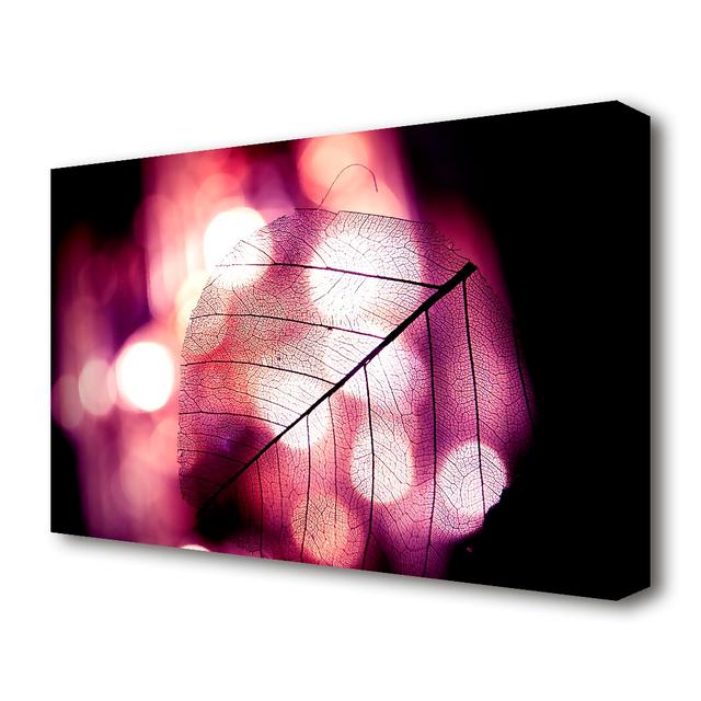 Sparkle Leaf Flowers Canvas Print Wall Art East Urban Home Size: 66 cm H x 101.6 cm W on Productcaster.