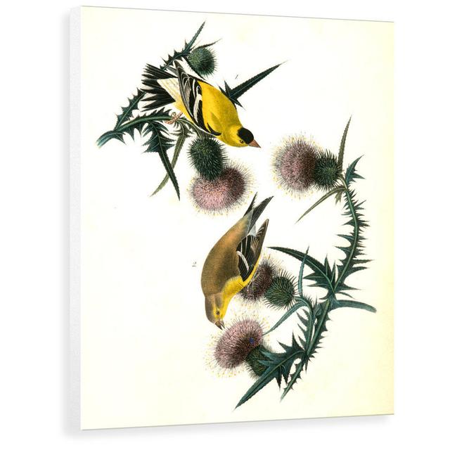 'American Goldfinch' Painting East Urban Home Size: 80 cm H x 62 cm W x 3.8 cm D, Format: Wrapped Canvas on Productcaster.