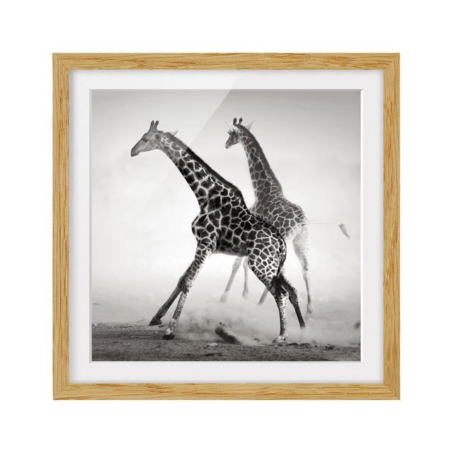 Giraffe Hunt Framed Photographic Art Print East Urban Home Frame Options: Natural oak, Size: 70cm H x 70cm W on Productcaster.