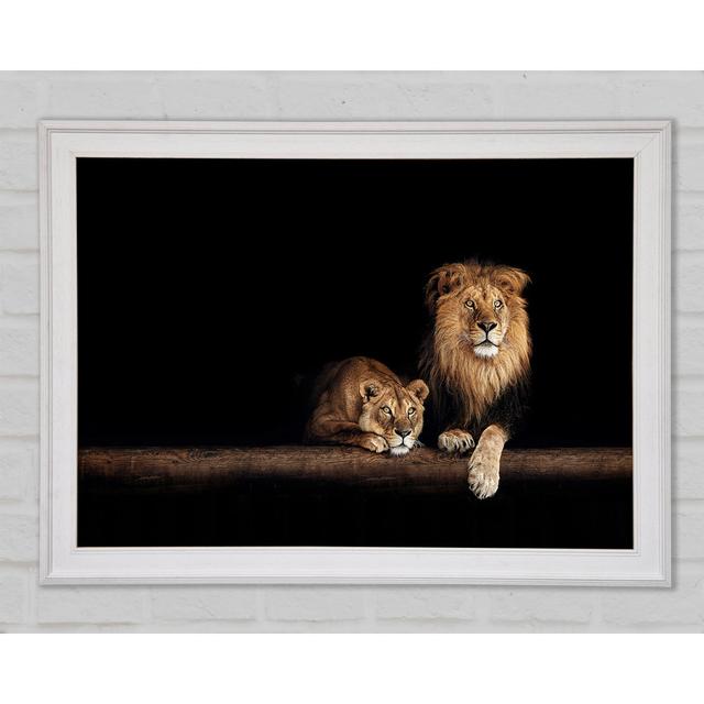 Lions Resting In The Dark - Single Picture Frame Art Prints Brayden Studio Size: 42cm H x 59.7cm W x 1.5cm D, Format: White Framed Paper on Productcaster.