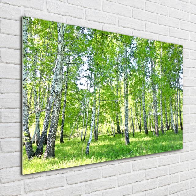 Birches - Unframed Art Prints on Glass Union Rustic on Productcaster.