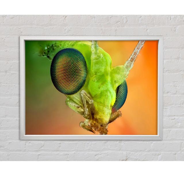 Macro Eyes - Print Ebern Designs Size: 84.1cm H x 118.9cm W x 3.3cm D on Productcaster.