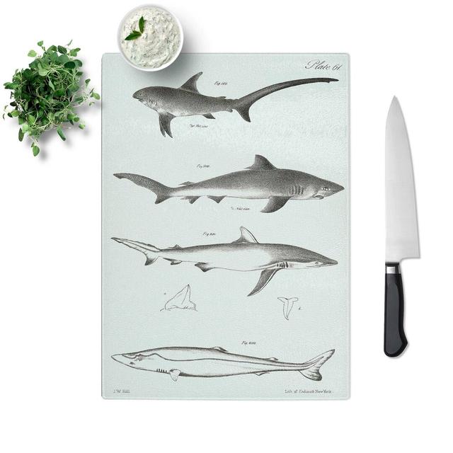 Tempered Glass Shark Illustrations by J.E. De Kay Chopping Board East Urban Home Size: 28.5 cm W x 39 cm L on Productcaster.