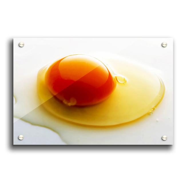 Single Egg Portrait - Unframed Photograph Print on Acrylic East Urban Home Size: 84.1cm H x 118.9cm W on Productcaster.