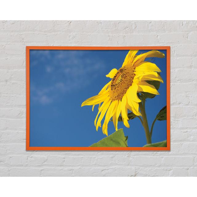 Yellow Sunflower Standing Above The Rest - Single Picture Frame Art Prints August Grove Size: 59.7cm H x 84.1cm W x 2cm D on Productcaster.