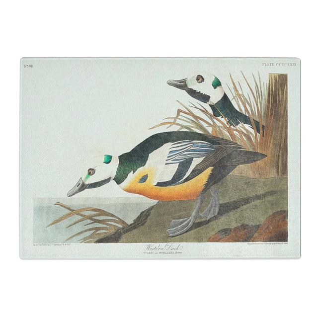 Tempered Glass Western Ducks by John James Audubon Chopping Board East Urban Home Size: 39 cm x 28.5 cm on Productcaster.