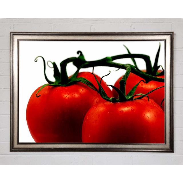 Tomato Trio Framed Print August Grove Size: 59.7cm H x 84.1cm W x 1.5cm D, Format: Gunmetal Framed Paper on Productcaster.