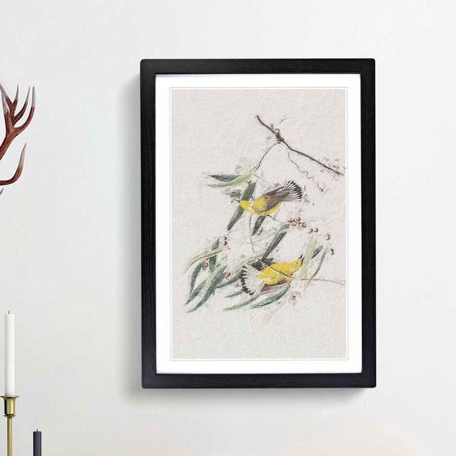 Prothonotary Warbler Birds by John Audubon - Picture Frame Painting Print East Urban Home Size: 65cm H x 48cm W x 2cm D, Frame Option: Black Framed on Productcaster.