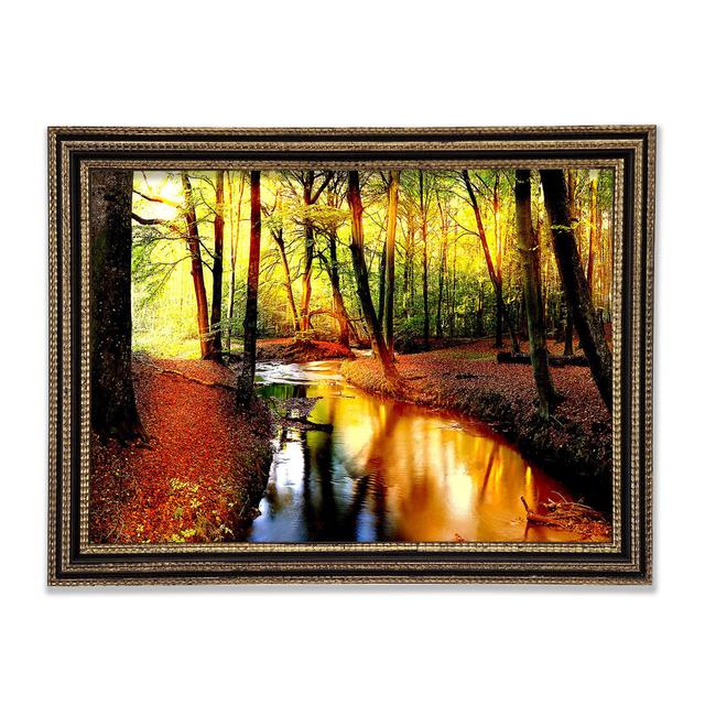 Impressive Autumn Stream - Print Union Rustic Size: 42cm H x 59.7cm W x 3cm D, Format: Black Gold Framed Paper on Productcaster.