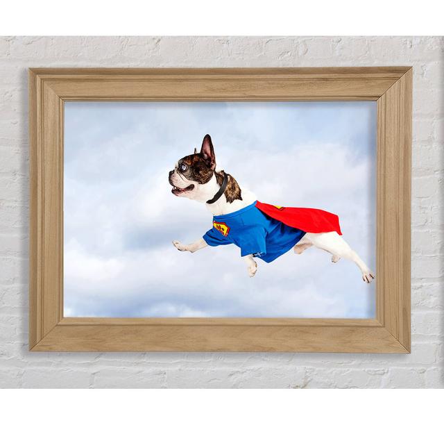 Super Dog Skies - Single Picture Frame Art Prints Bright Star Size: 100cm H x 141.4cm W x 8cm D on Productcaster.