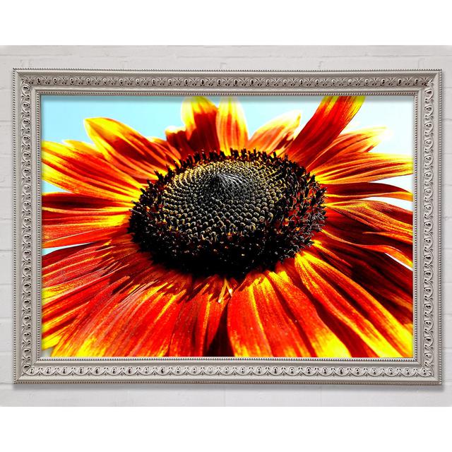 The Sunflower Framed Print Ebern Designs Size: 21cm H x 29.7cm W on Productcaster.