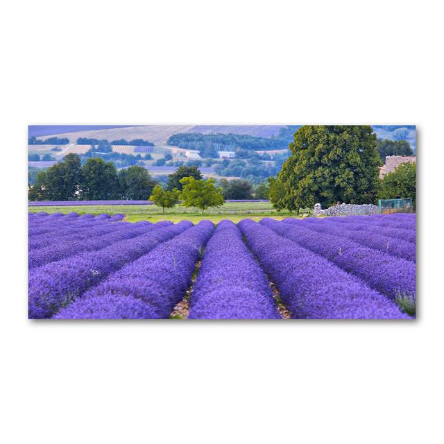 Lavender Field - Wrapped Canvas Art Prints Brayden Studio on Productcaster.