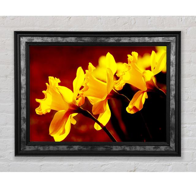 Golden Daffodil Parade - Single Picture Frame Art Prints Bright Star Size: 29.7cm H x 42cm W x 8cm D on Productcaster.