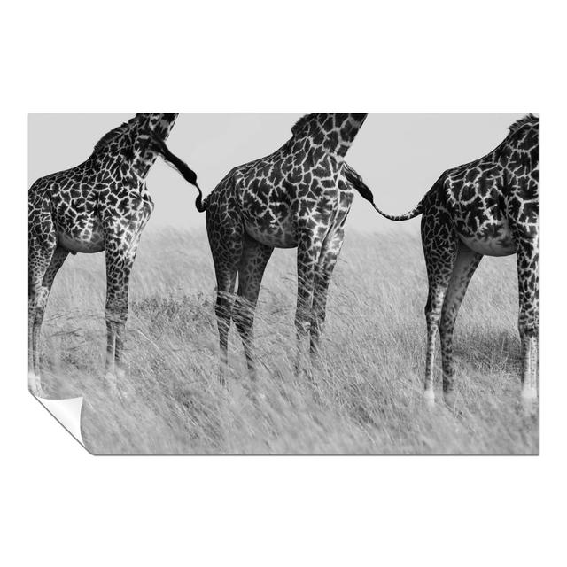 Panther Print Fine Art Prints Black & White African Safari Giraffe Connection Wildlife Artistic Unframed Poster, Pictures For Home Walls, Bedroom, Liv on Productcaster.