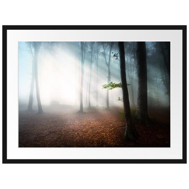 Gerahmtes Poster Düsterer Wald im Nebel East Urban Home Größe: 60 cm H x 80 cm B on Productcaster.