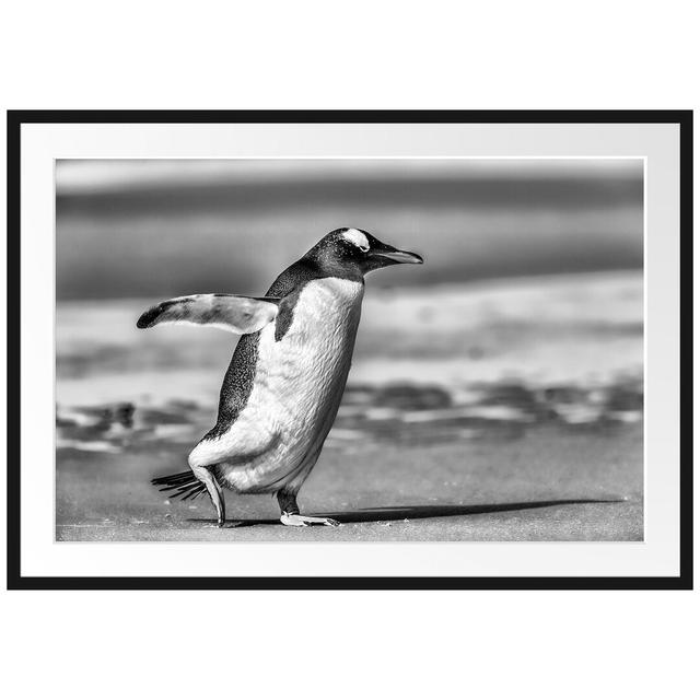 Gerahmtes Poster Pinguin am Strand East Urban Home Größe: 70 cm H x 100 cm B on Productcaster.