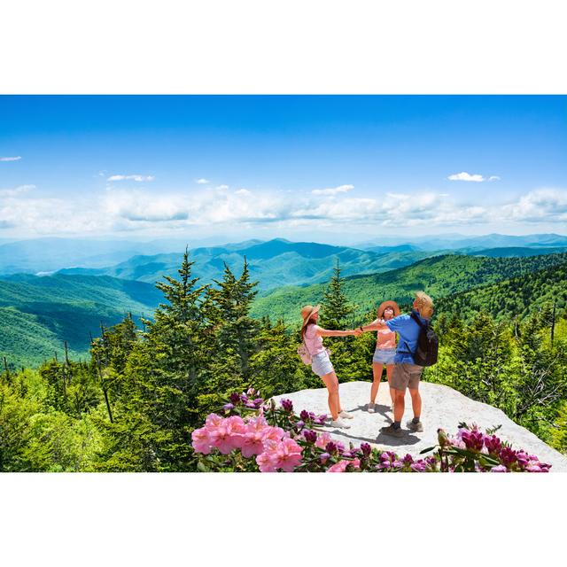 Family Having Fun in Mountains by Margaretw - Wrapped Canvas Photograph 17 Stories Size: 20cm H x 30cm W on Productcaster.