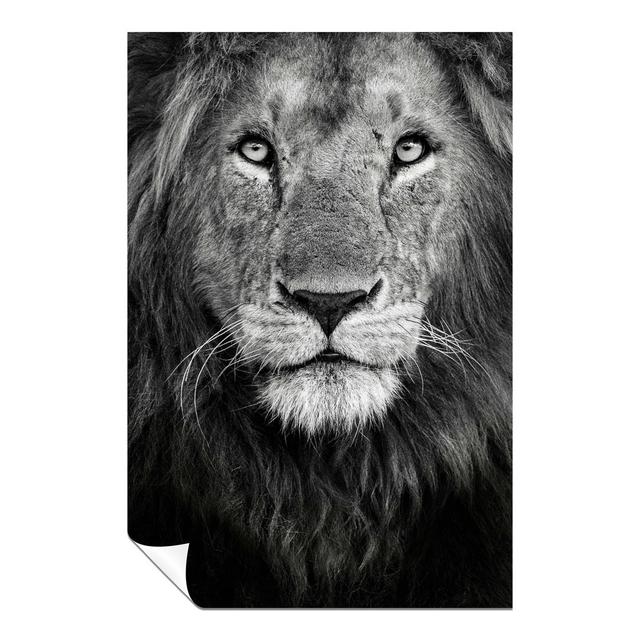 Panther Print Fine Art Prints Black & White Lion King Face Portrait Artistic Unframed Poster, Pictures For Home Walls, Bedroom, Living Room & Bathroom on Productcaster.