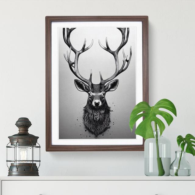 Urban Stag - Picture Frame Graphic Art Alpen Home Size: 34cm H x 25cm W x 2cm D, Frame Colour: Walnut on Productcaster.