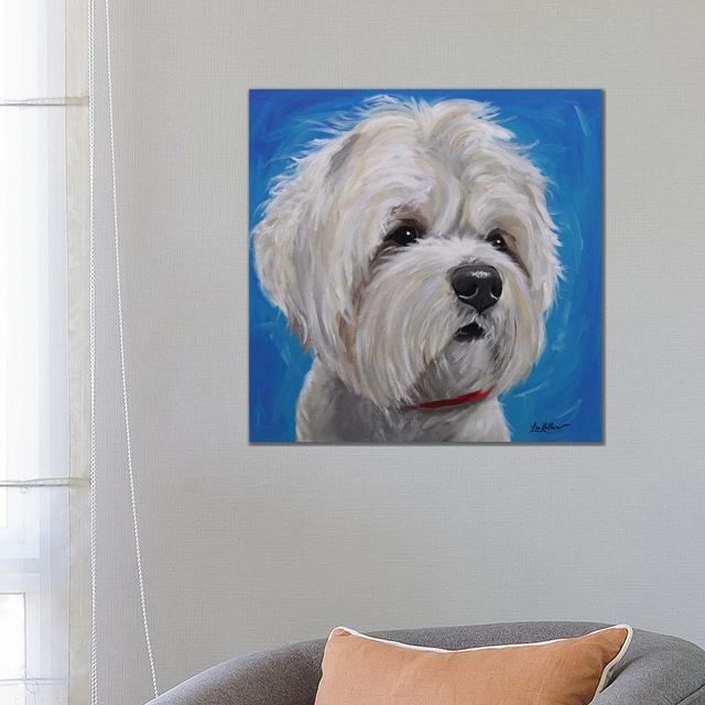 Maltese Shihtzu Mix - Pipa by Hippie Hound Studios - Wrapped Canvas Painting ClassicLiving Size: 66.04cm H x 66.04cm W x 3.81cm D on Productcaster.