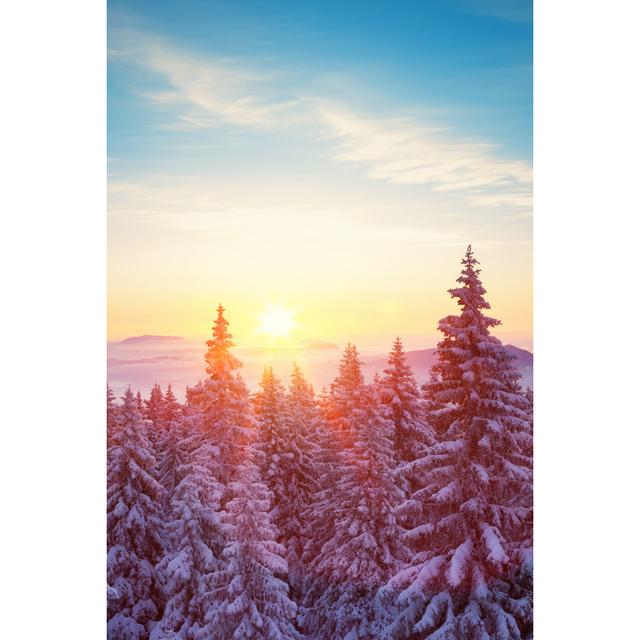 Winter Sunrise by Borchee - Wrapped Canvas Art Prints Alpen Home Size: 91cm H x 61cm W x 3.8cm D on Productcaster.