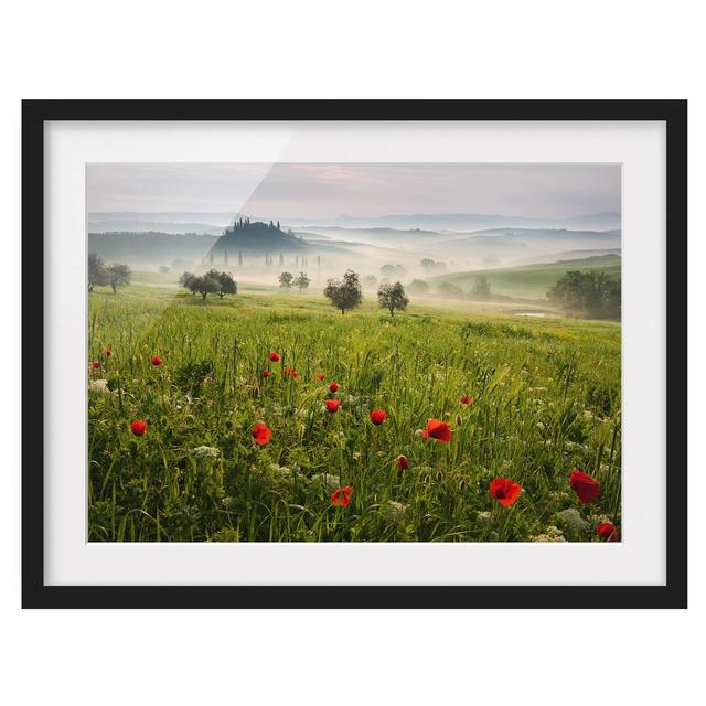 Tuscan Spring Framed Print East Urban Home Size: 70cm H x 100cm W, Frame Options: Matt black on Productcaster.