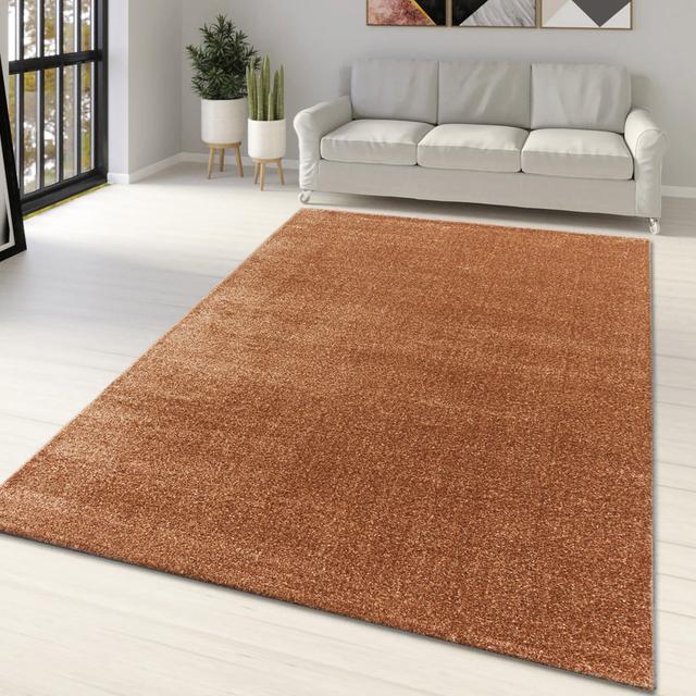 Nayara Machine Braided Brown Rug Brayden Studio Rug Size: Rectangle 120 x 170cm on Productcaster.