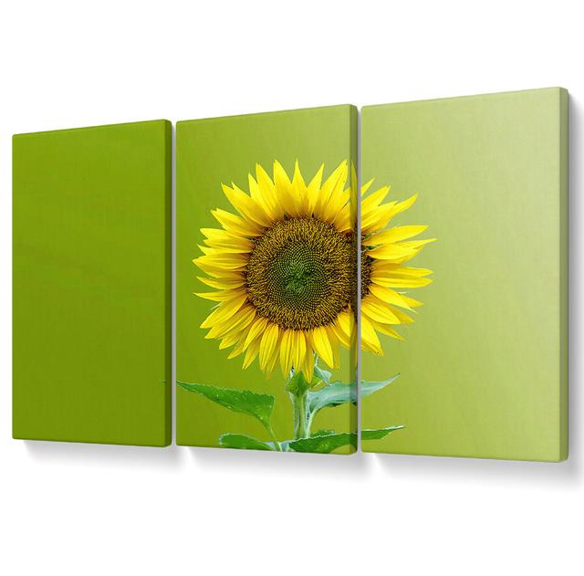 Single Sunflower - 3 Piece Wrapped Canvas Graphic Art August Grove Size: 50.8cm H x 106.6cm W on Productcaster.