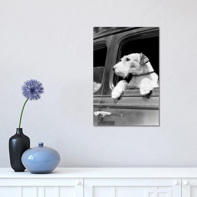 Profile Portrait of Wire Fox Terrier Dog Looking Out of Automobile Window - Wrapped Canvas Photograph Latitude Run Size: 45.72cm H x 30.48cm W x 1.91c on Productcaster.