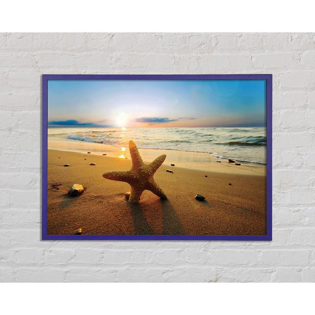 Starfish Sun Glow - Einzelner Bilderrahmen Kunstdrucke Haus am Meer Größe: 29,7 cm H x 42 cm B x 2 cm T on Productcaster.