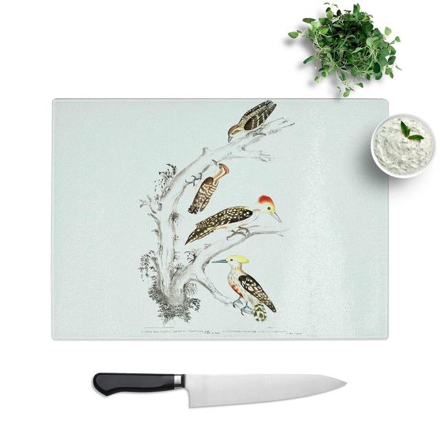 Glass Illustration of Woodpeckers by John Edward Gray Chopping Board East Urban Home Size: 28.5 cm W x 20 cm L on Productcaster.