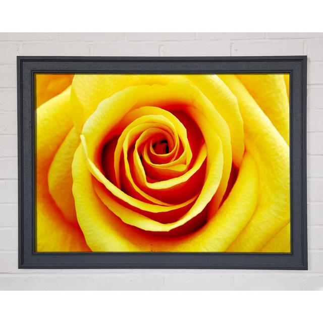 Single Picture Frame Art Prints Canora Grey Size: 84.1cm H x 118.9cm W on Productcaster.